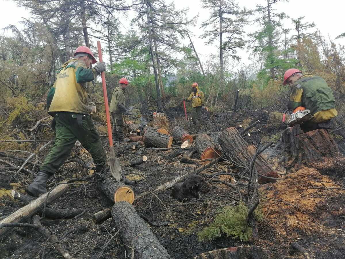 Штатная численность лесных пожарных будет увеличена на Камчатке